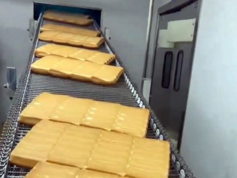 網(wǎng)鏈輸送機