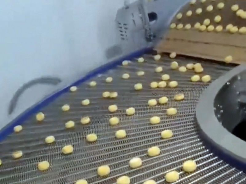 網(wǎng)鏈輸送機